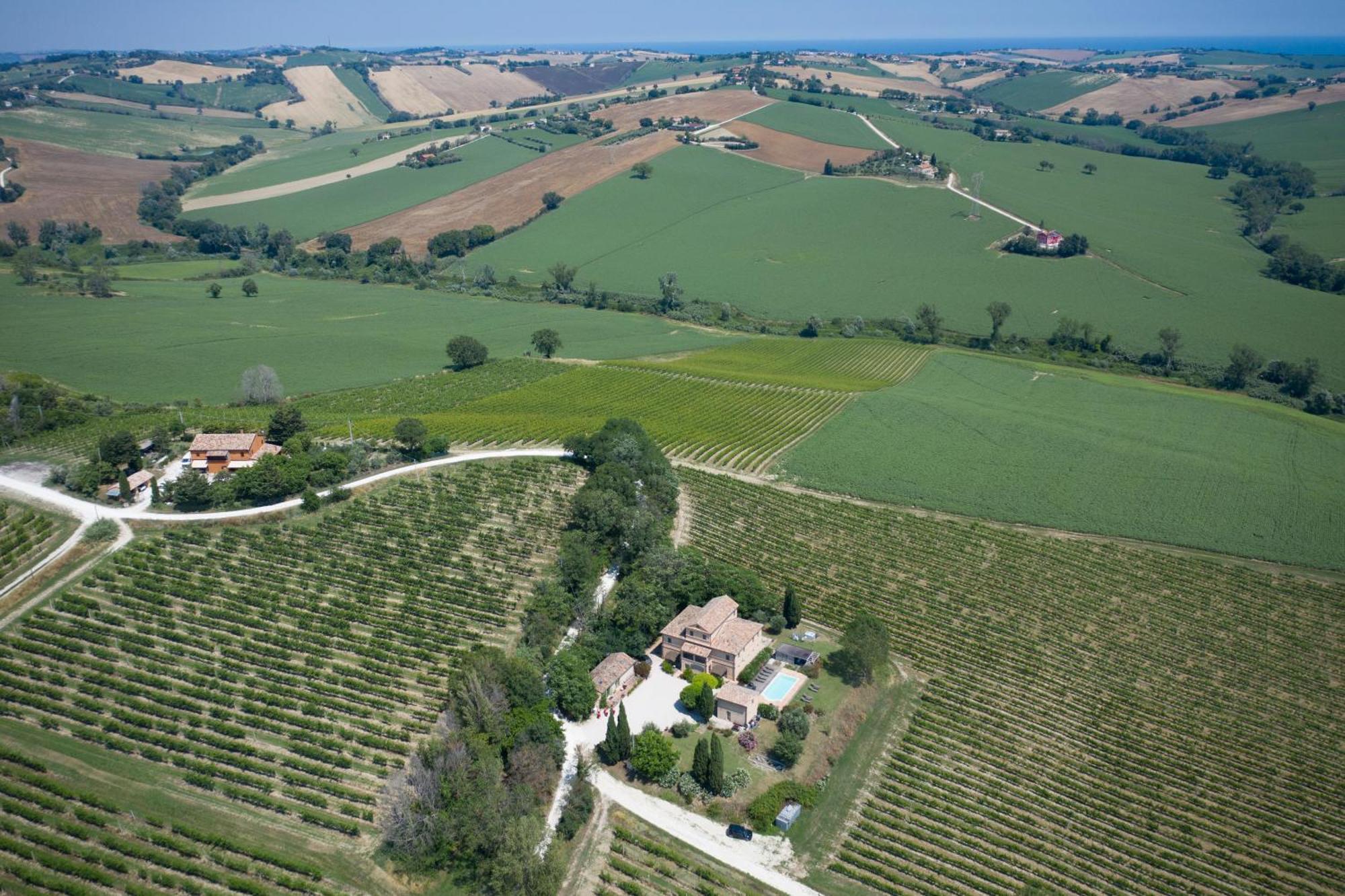 La Vita Nuova Appartements - Appart B&B Morro dʼAlba Kültér fotó